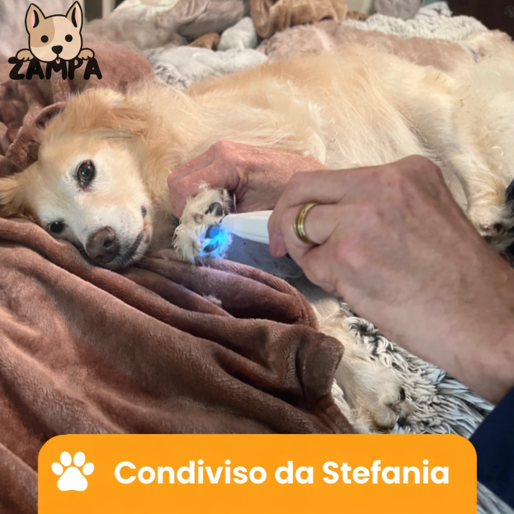 ZampaTrimmer Pro™ - Cura delle zampe indolore in pochi secondi