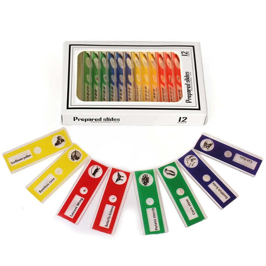 HappyBimbi - Micro Mondo Campioncini